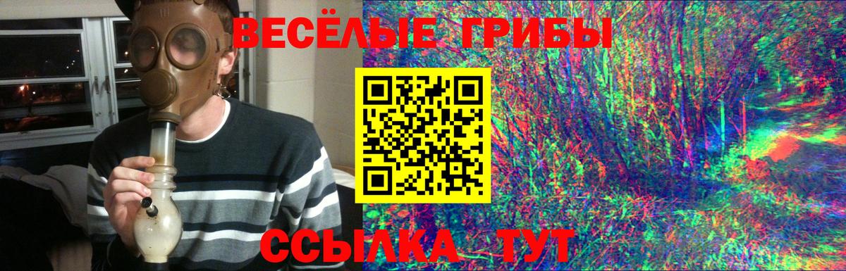 Галлюциногенные грибы GOLDEN TEACHER  Вход с VPN  Заводоуковск 