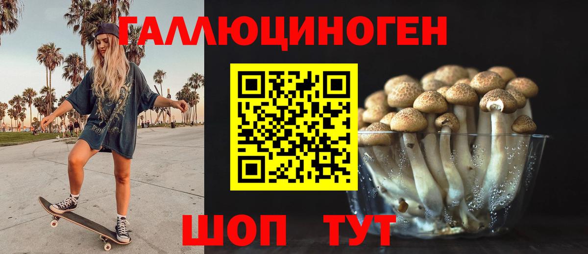 Псилоцибиновые грибы Psilocybine cubensis Заводоуковск